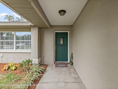 9269 Bladon St, Spring Hill, FL 34608 - photo 5