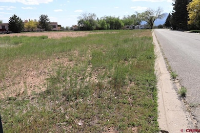 915 S Broadway, Cortez, CO 81321 - photo 3