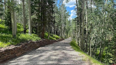 Looking down the Lot 32 driveway