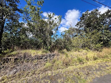 92-8805 Leilani Pkwy, Ocean View, HI 96737 - photo 5