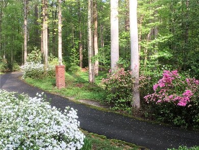 Azaleas along the driveway are stunning in full bloom
