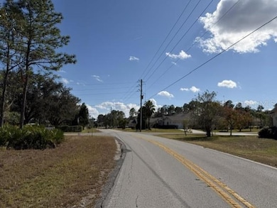 9180 Nightingale, Weeki Wachee, FL 34613 - photo 3