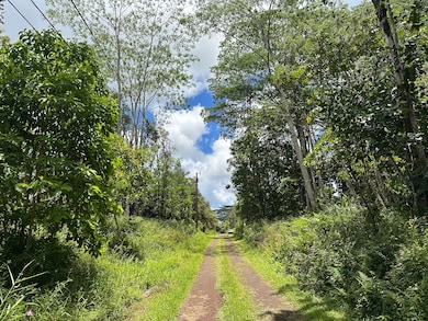 Looking down Holiday Rd towards Flower.
