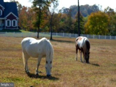 17320 Monrovia Rd, Orange, VA 22960 - photo 3