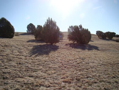 1185 Arrowhead Pass