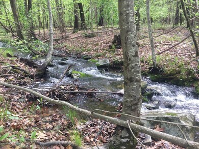 Lot 69 Decker Creek Dr, Palmyra Township, PA 18428 - photo 2