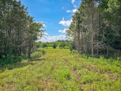 0 Double Branch Rd unit RTC3050045, Columbia, TN 38401 - photo 3