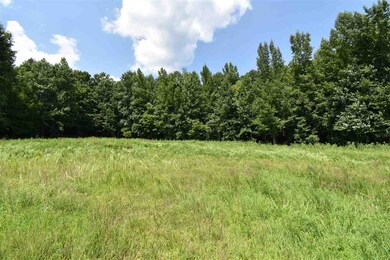 2427 Hurricane Creek Rd, Linden, TN 37096 - photo 5