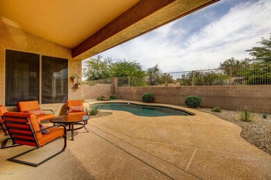 Desert View (34)