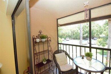 Screen enclosed lanai, features additional storage