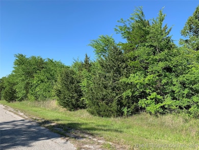 1896 River Oak, Kingston, OK 73439 - photo 4