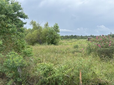 29913 Waller Spring Creek Rd, Waller, TX 77484 - photo 5