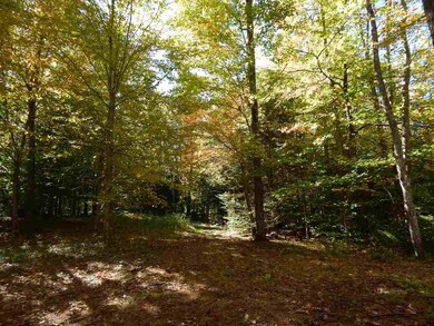 12 Chalk Pond Rd, Newbury, NH 03255 - photo 2