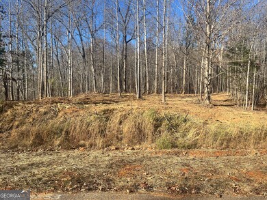 3853 Reservoir Dr unit TRACT 12, Gainesville, GA 30507 - photo 2