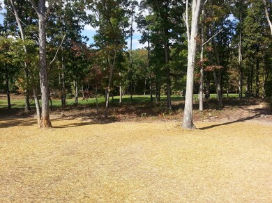 125 Fairway Dr, Drums, PA 18222 - photo 7