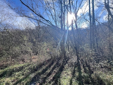 99999 Ky 2030, Martin, KY 41649 - photo 3