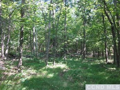 0 Post Hill Rd unit 97496, Taghkanic, NY 12502 - photo 3