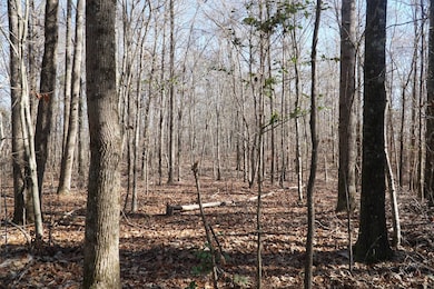 0 Alabama 187, Hodges, AL 35571 - photo 2