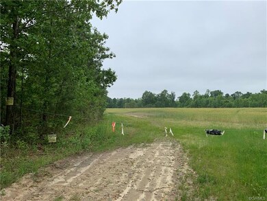 Corner of property is at tree line to the left