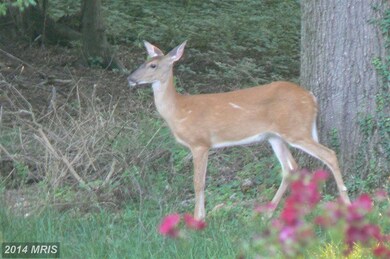 0 Prospect Hill Rd unit 1003077100, Glenn Dale, MD 20769 - photo 6