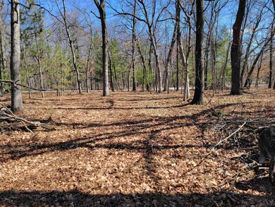 0000 Fremont Ave, Byron, WI 54660 - photo 3