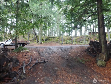 362 Hilltop Way, Lopez Island, WA 98261 - photo 4