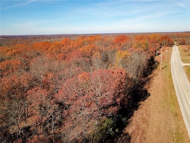 001 S Highway Aa N A, Stockton, MO 65785 - photo 2