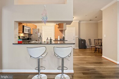 12909 Centre Park Cir unit 104, Oak Hill, VA 20171 - photo 7