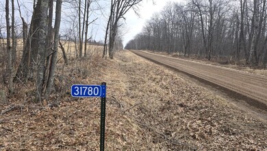 31780 170th St, Isle, MN 56342 - photo 4