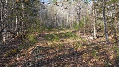 0 Winona Shores Rd unit 4859281, Meredith, NH 03253 - photo 5