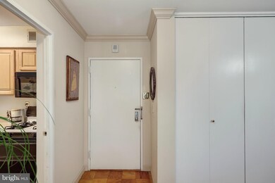 Tiber Island unit W500, Washington, DC 20024 - photo 5