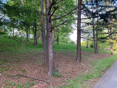 Lot 13-roadway left