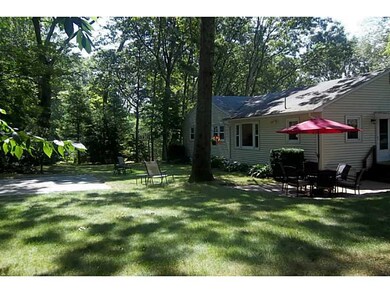 Yard/Garden.