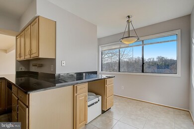 6907 Jones View Dr unit 69073B, Baltimore, MD 21209 - photo 6