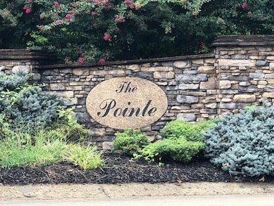The Point 2