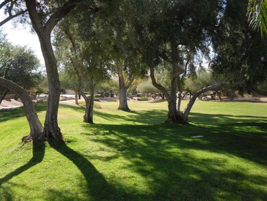Common Area 1
