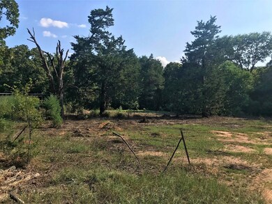 9201 Private Road 5204, Athens, TX 75751 - photo 4