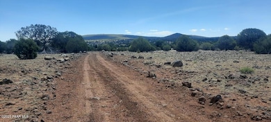 Xxxx Martinez, Williams, AZ 86046 - photo 5