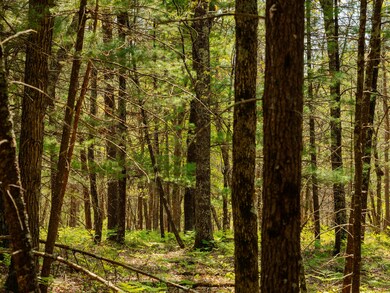 Parcel 2 E Koenig Rd, Free Soil, MI 49411 - photo 7