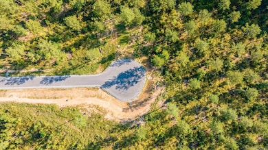 0000 Grandview Dr, Benton, AR 72019 - photo 6