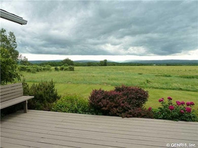 Backyard.