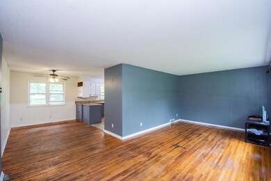 Entry/Living Room