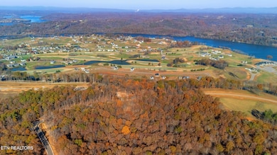 dji_20251112100351_0737_d