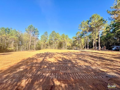 12068 Farm To Market 130, Hughes Springs, TX 75656 - photo 3