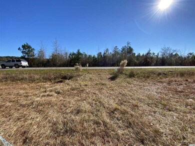 TBD 1.0 Acre Highway 378, Conway, SC 29527 - photo 5