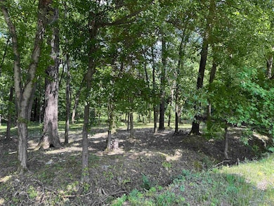 View of undeveloped land