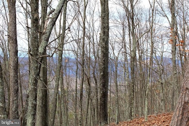 LOT 194 Lockinger Ridge Rd, Old Fields, WV 26836 - photo 7