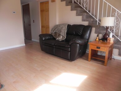 Living Room With Storage Closet