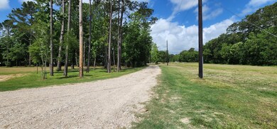 200 Lightening Bolt Ln, Dayton, TX 77535 - photo 2