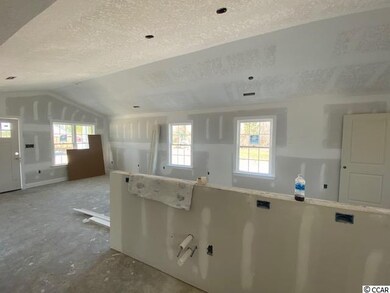 136 Ivy Creek Ct unit Lot 10 - Spruce, Conway, SC 29527 - photo 4